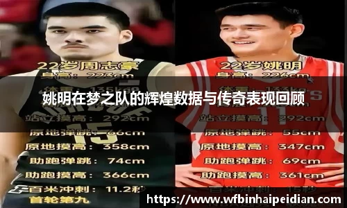 姚明在梦之队的辉煌数据与传奇表现回顾