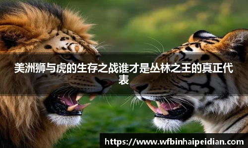 必一运动官网